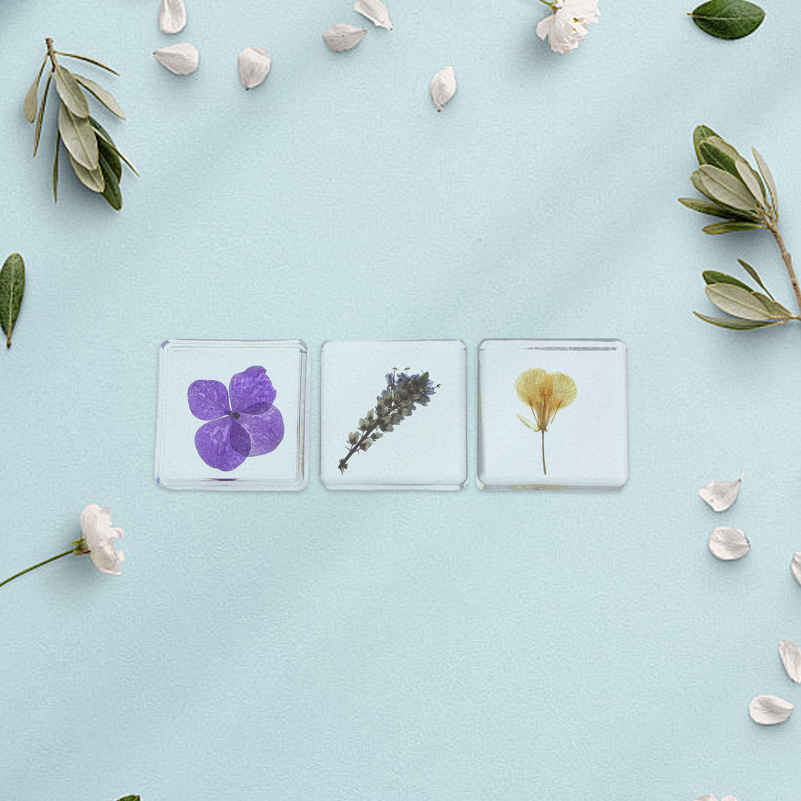 Home Decor Flowers - 3Pcs 꽃 수지 표본 식물 다색