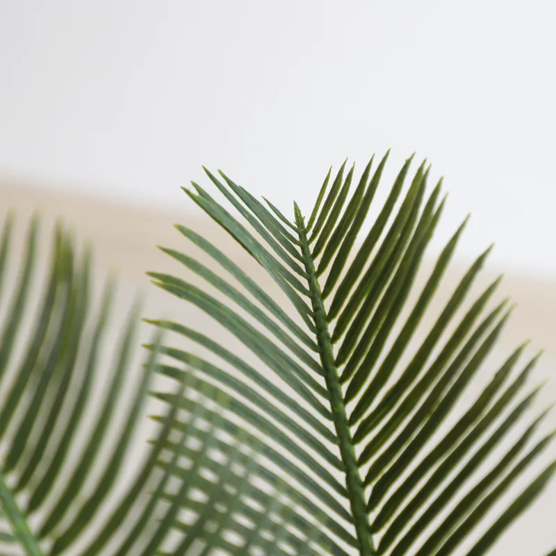 인공 사이카 사고 분재 식물, 가정 장식용 사이카 레볼 - Home Decor Handicraft 리뷰 및 가격