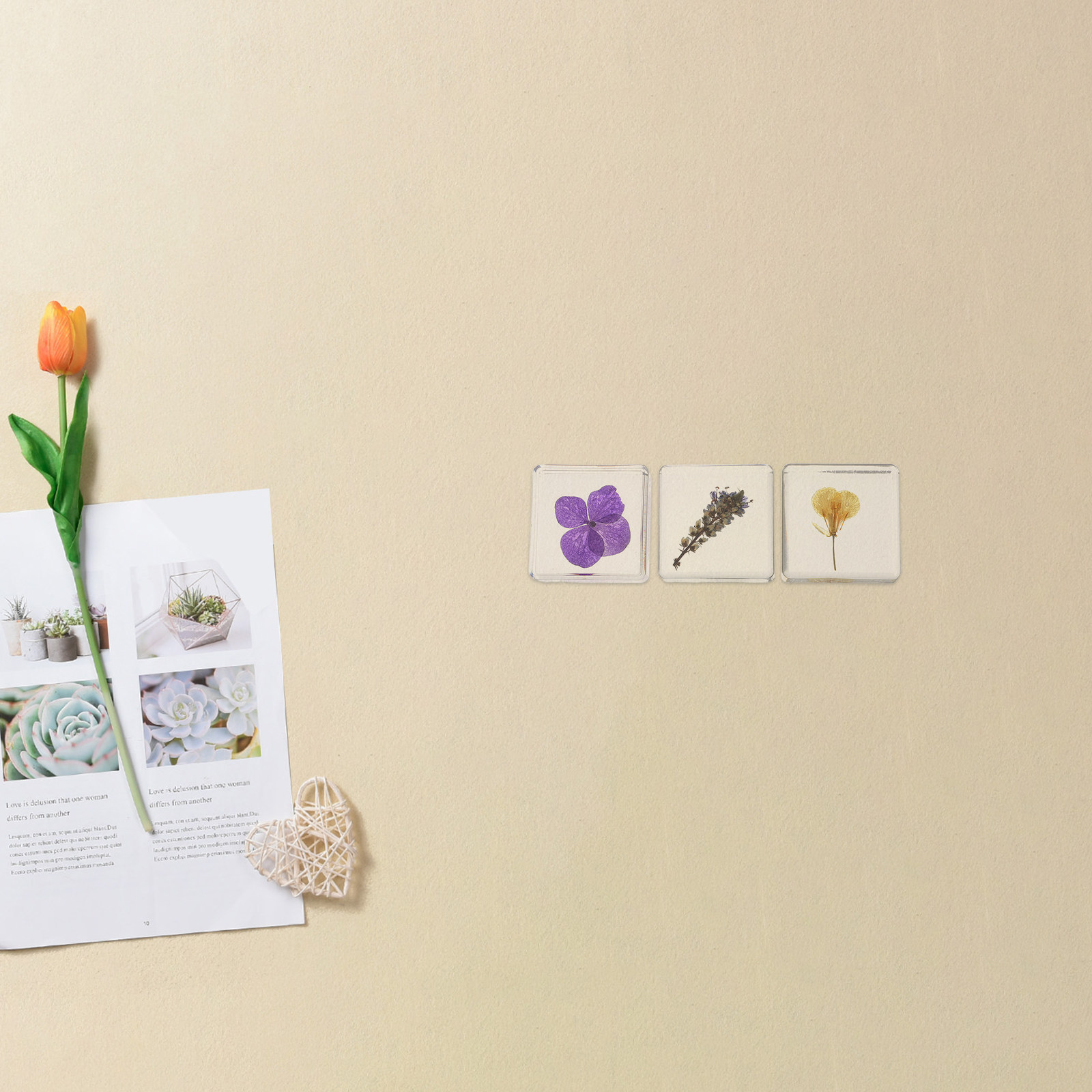 3Pcs 꽃 수지 표본 식물 다색 수지 블록 교육용 홈 - Home Decor Flowers 리뷰 및 가격