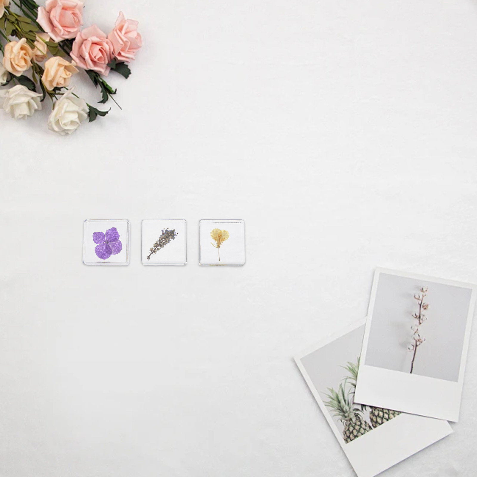 3Pcs 꽃 수지 표본 식물 다색 수지 블록 교육용 홈 - Home Decor Flowers 리뷰 및 가격