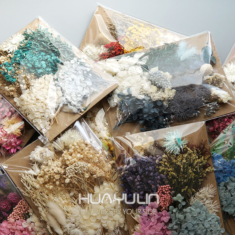 1 팩 인공 식물 말린 진짜 꽃 보존 재료 에폭시 수지 - Home Decor Handicraft 리뷰 및 가격
