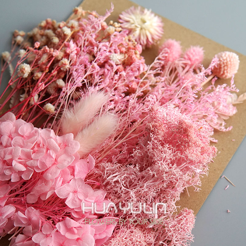 1 팩 인공 식물 말린 진짜 꽃 보존 재료 에폭시 수지 - Home Decor Handicraft 리뷰 및 가격