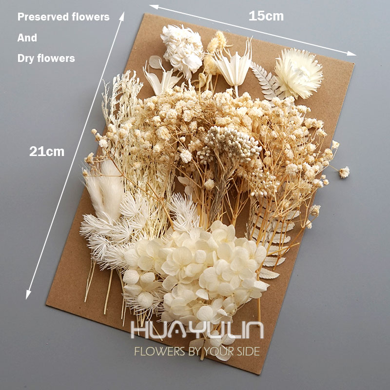 1 팩 인공 식물 말린 진짜 꽃 보존 재료 에폭시 수지 - Home Decor Handicraft 리뷰 및 가격